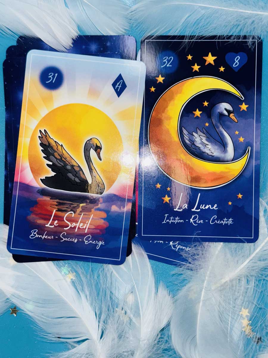 Swan Lenormand – visuel 3