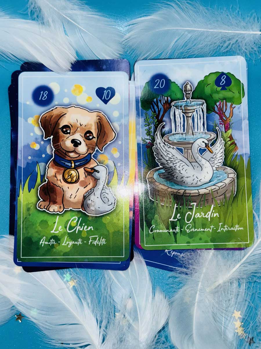 Swan Lenormand – visuel 5