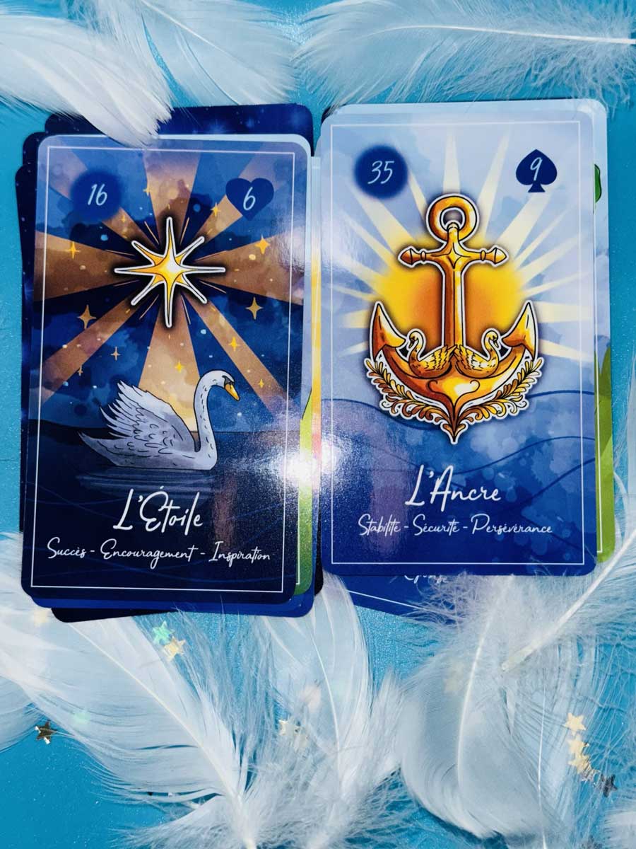 Swan Lenormand – visuel 6